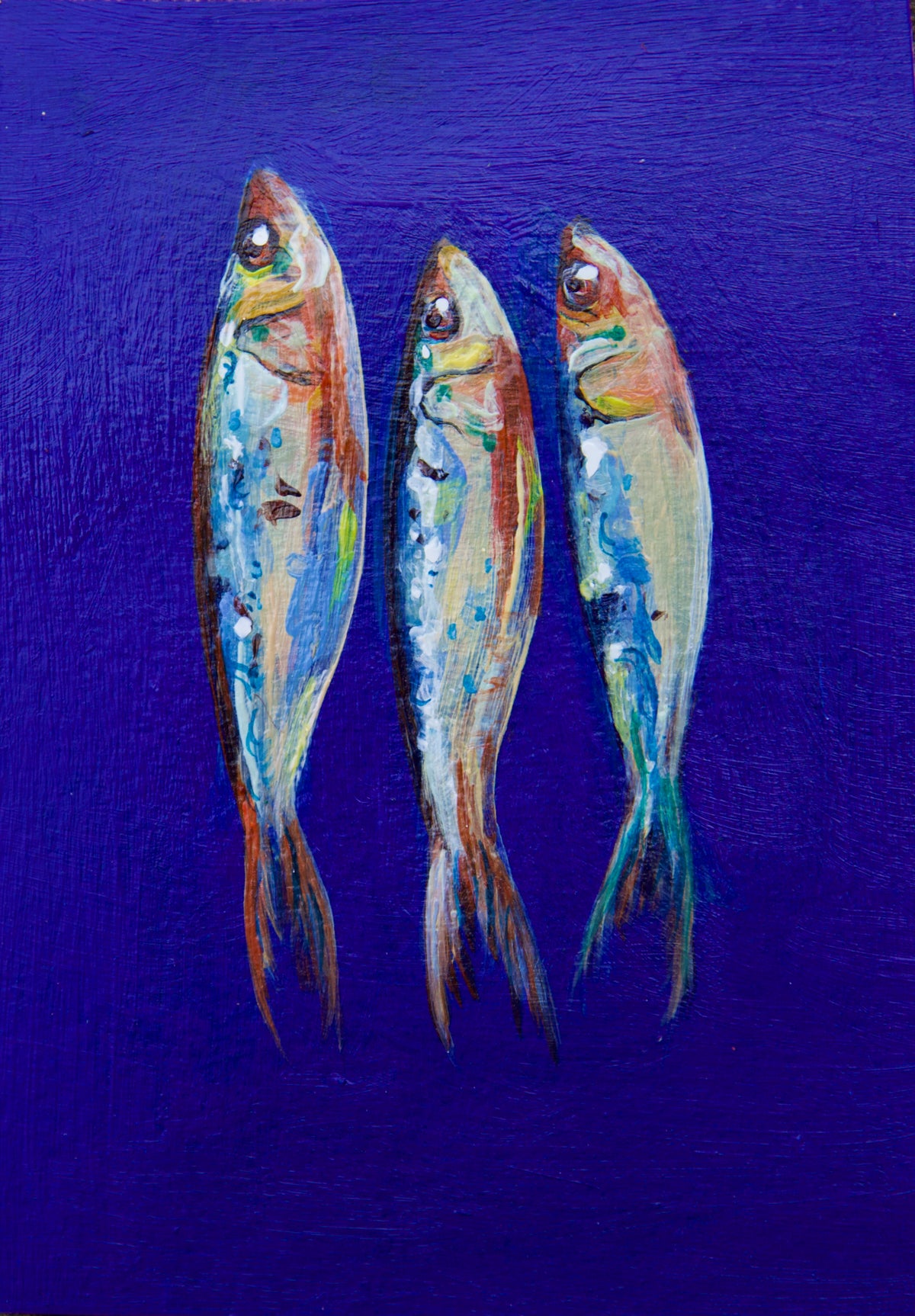 Blue Sardines